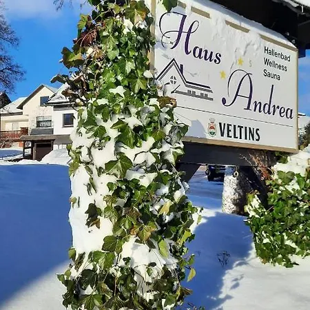 Отель Haus Andrea